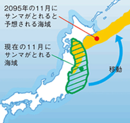 出典:農林水産省水産庁の図