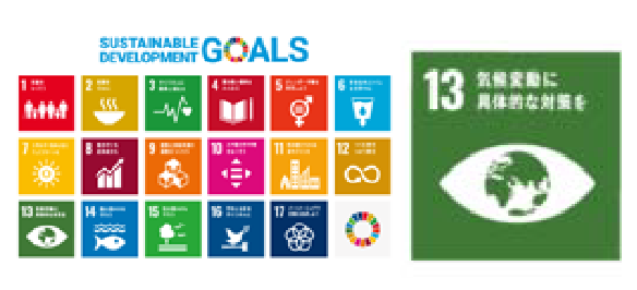 SDGs