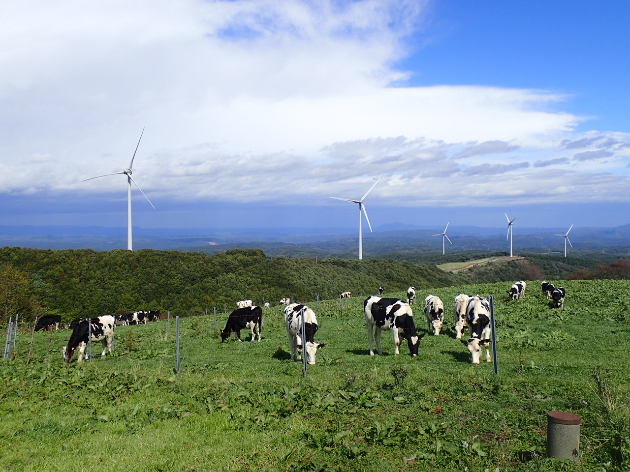 高森高原風力発電所