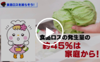 食品ロスを減らそう！～まだ食べられるのに捨てるなんて“もったいない”～